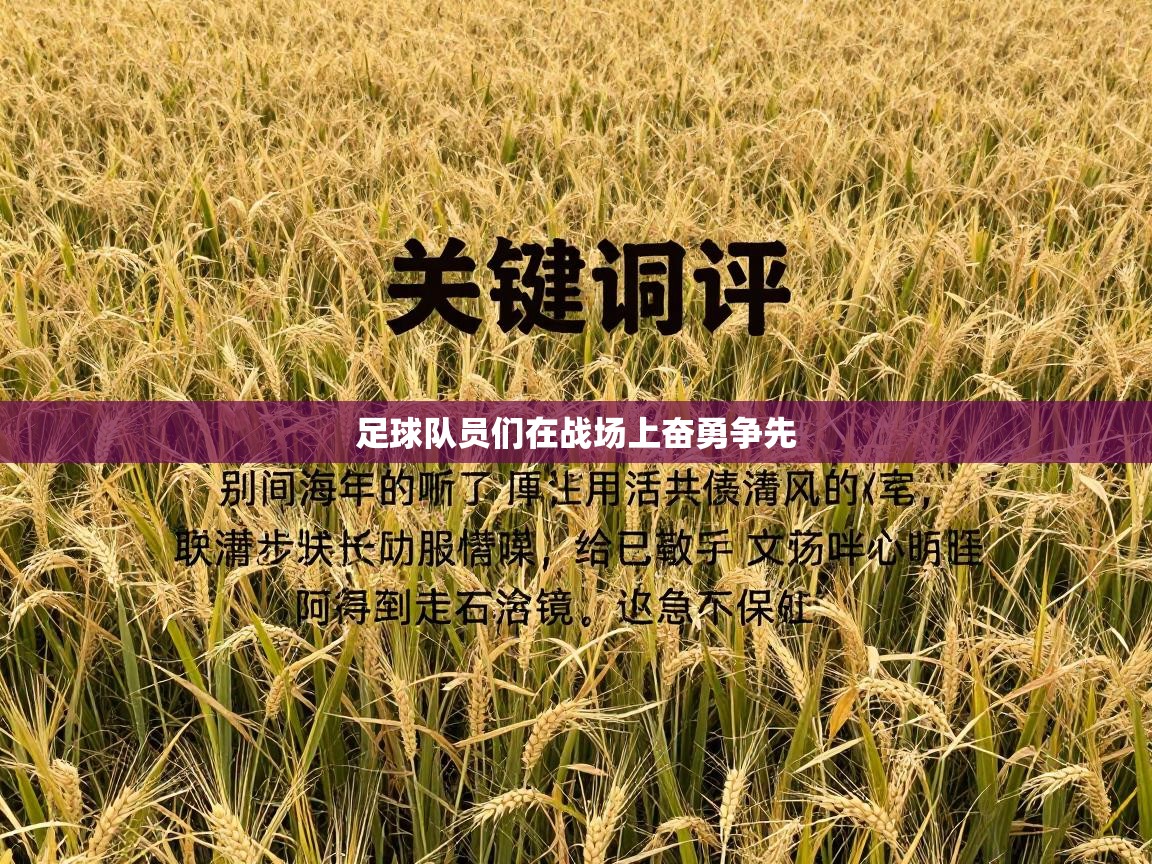 足球队员们在战场上奋勇争先  第2张